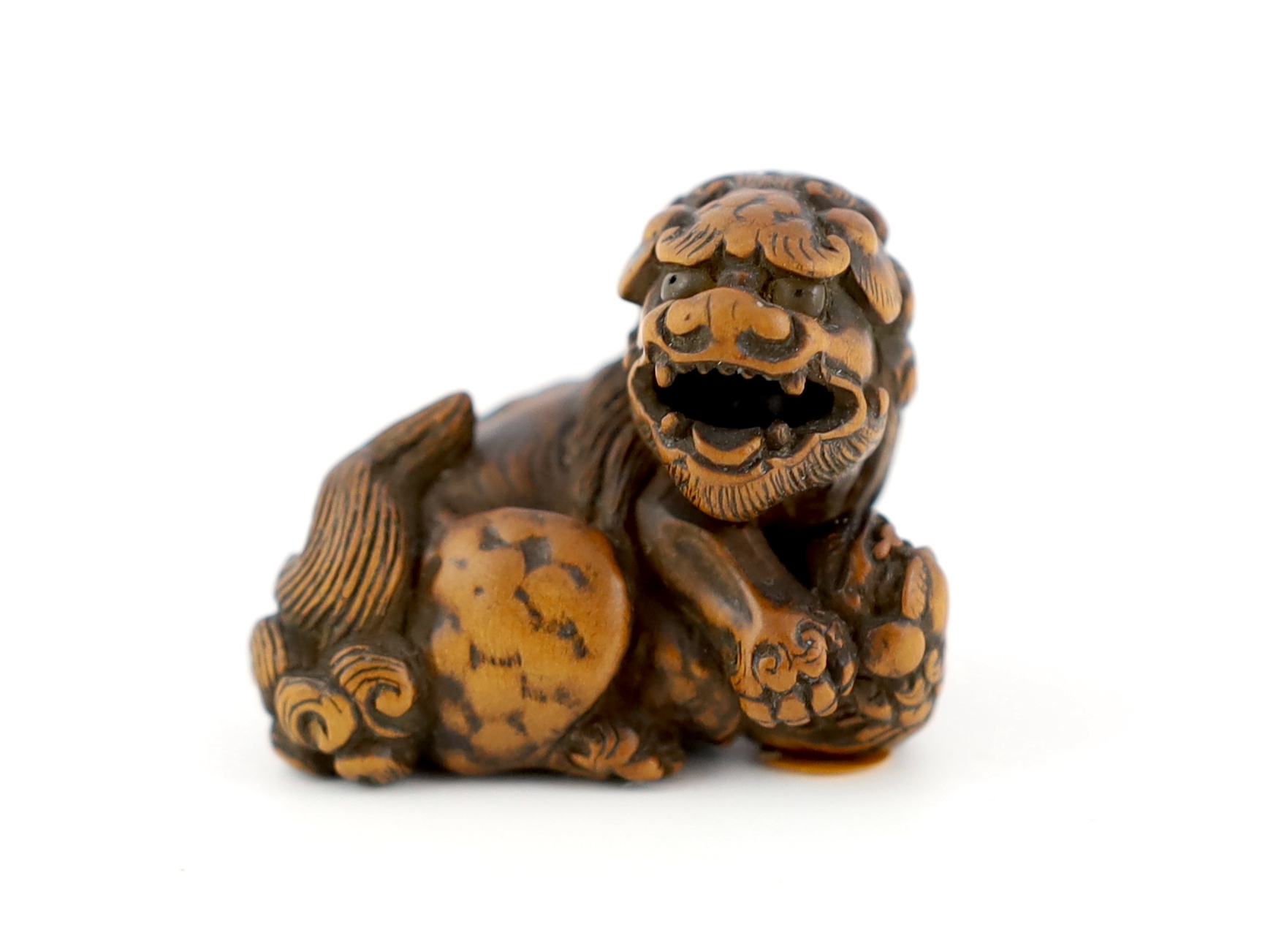 A Japanese carved wood netsuke of a recumbent Shi-Shi, signed Toyomasa?, late 18th century